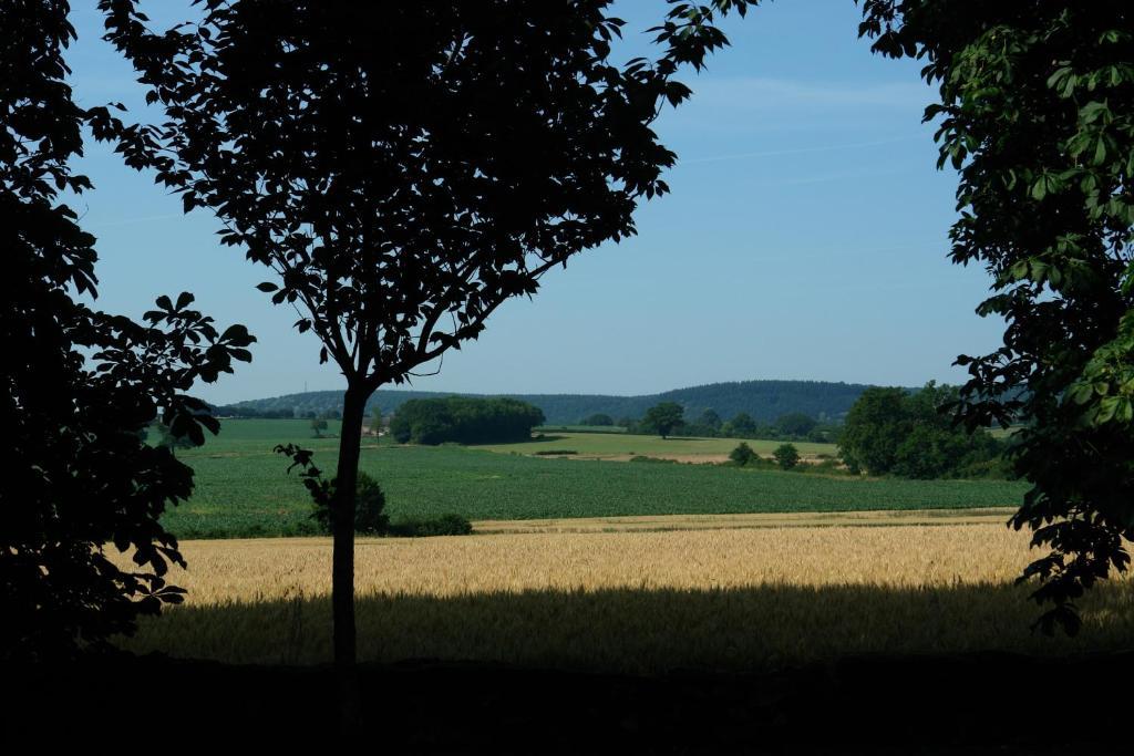Chambres d'Hôtes - Domaine Des Perrières Crux-la-Ville Esterno foto