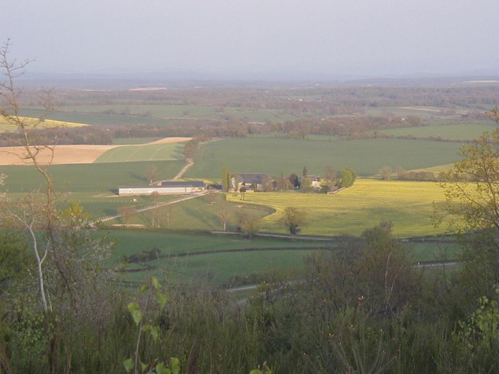Chambres d'Hôtes - Domaine Des Perrières Crux-la-Ville Esterno foto